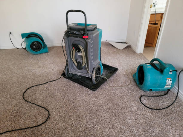Best 24/7 water damage repair  in Frankenmuth, MI