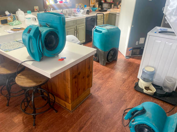 Best Ceiling water damage repair  in Frankenmuth, MI