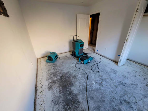 Water damage restoration process in Frankenmuth, MI