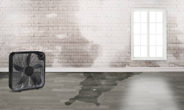 Trusted Frankenmuth, MI Water damage restoration Experts
