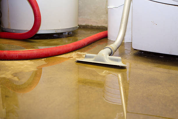 Best Carpet water damage restoration  in Frankenmuth, MI