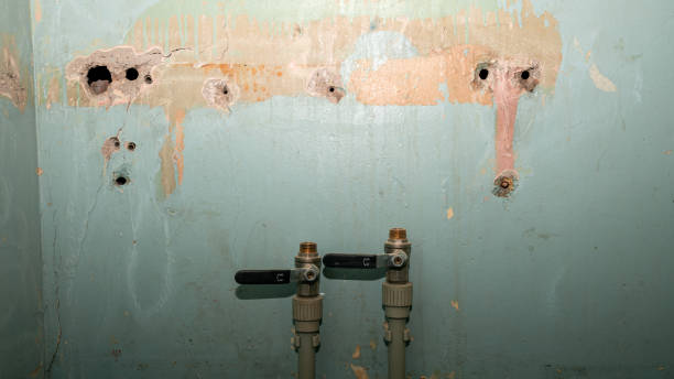 Best Water damage restoration process  in Frankenmuth, MI