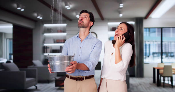 Best Professional water damage repair  in Frankenmuth, MI