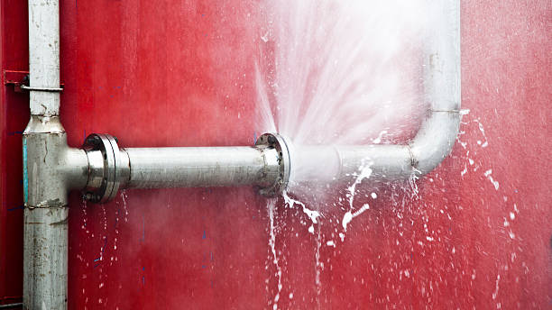 Best Emergency water damage restoration  in Frankenmuth, MI